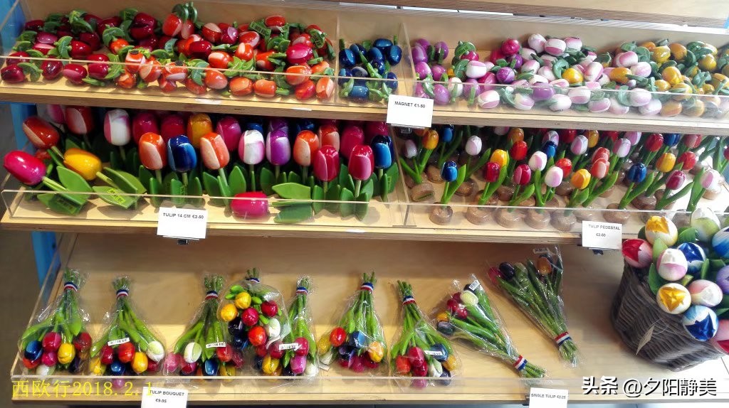 阿姆斯特丹漫步荷兰,欧洲自由行之荷兰阿姆斯特丹旅行