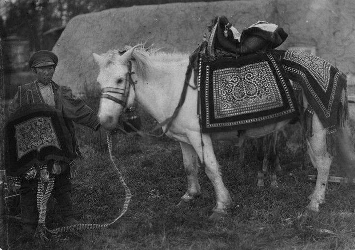 20世纪初世界贸易具有什么新特点 (19世纪末20世纪初世界贸易特点)