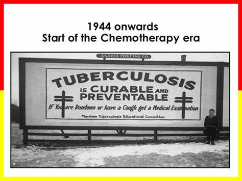 总是安慰常常帮助偶尔治愈原文,常常在安慰偶尔在治愈是什么意思