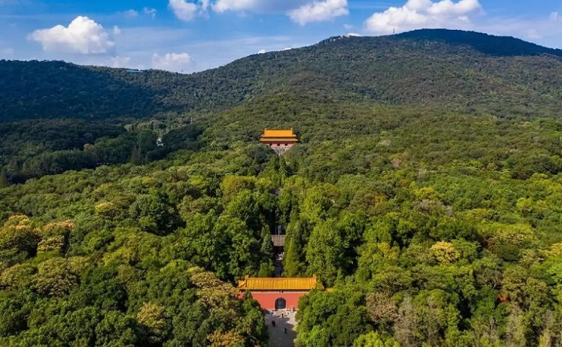 南京免费景点排行榜前十名,南京旅游年卡免费景点一览表