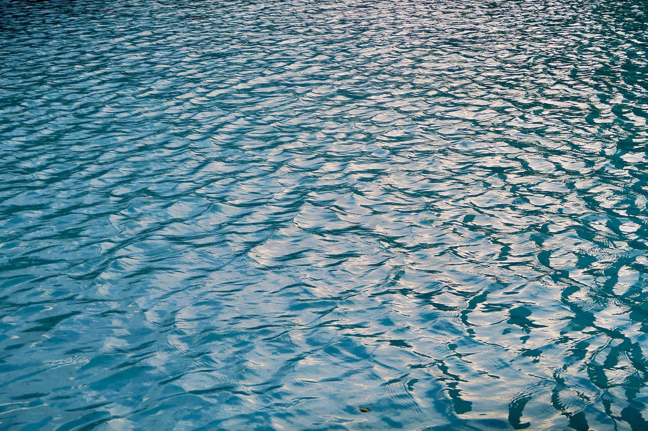 心理学脸皮厚,脸皮厚的人心理承受能力都强