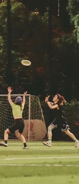 上海玩宠物,上海玩狗户外