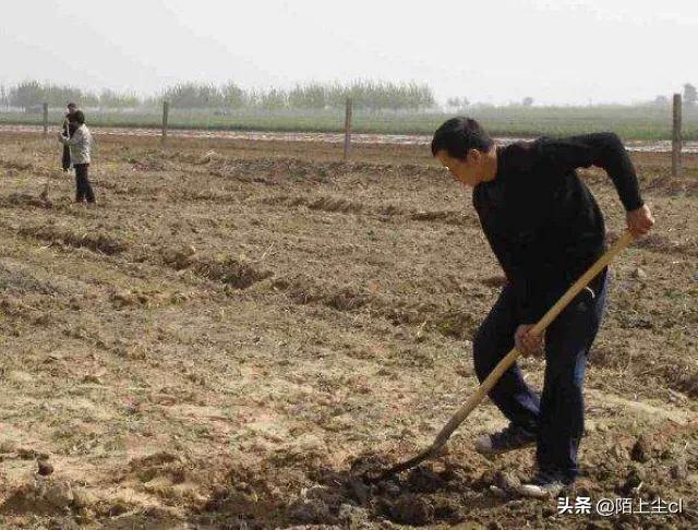 2024年新农合缴费有望取消吗,2024年新农合缴费停止了吗