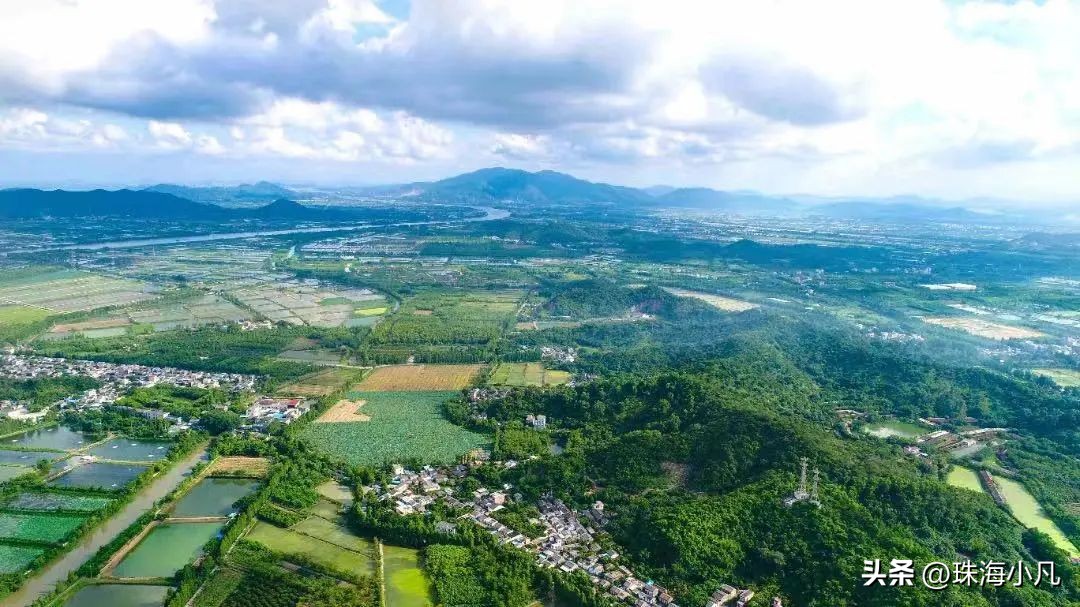 刚刚开通！莲洲⇋香洲！10元往返+区域无限次…