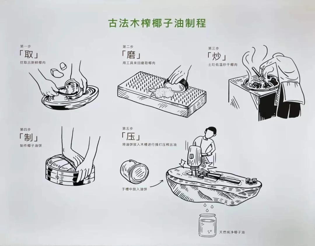 去海南岛品尝当地的椰子,椰子探房