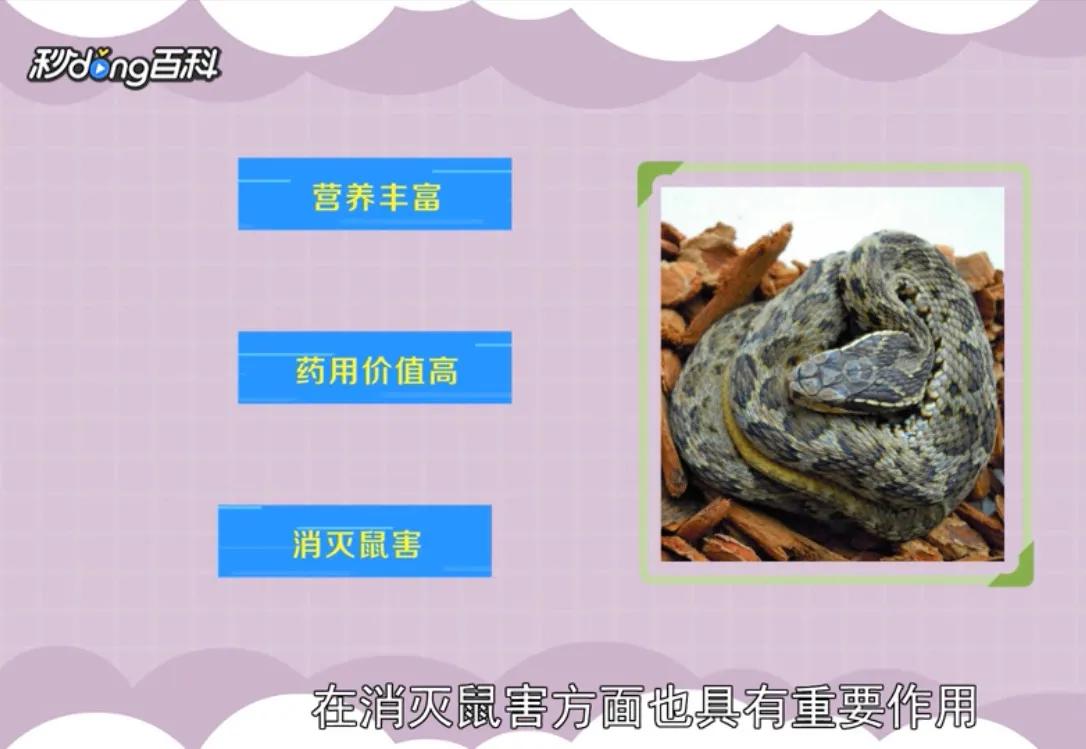 五一出行,这是包邮区城市最容易遇到的毒蛇