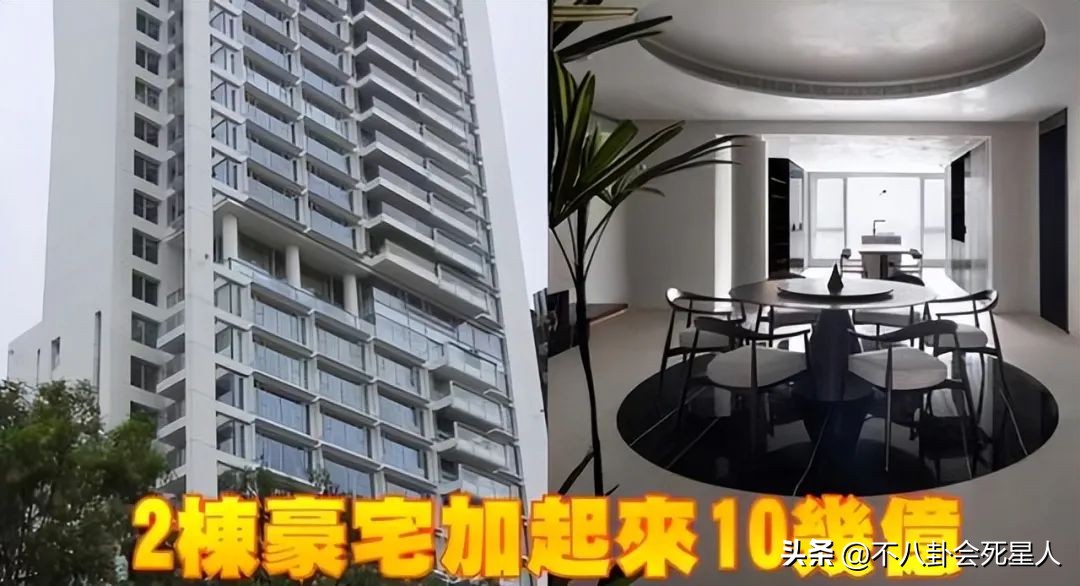 向太直播谈张柏芝,向太直播说张柏芝