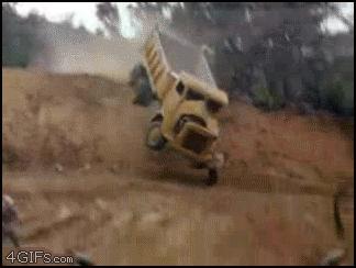 第一个用无人机拍到的鲸鱼,鲸鱼萤火虫