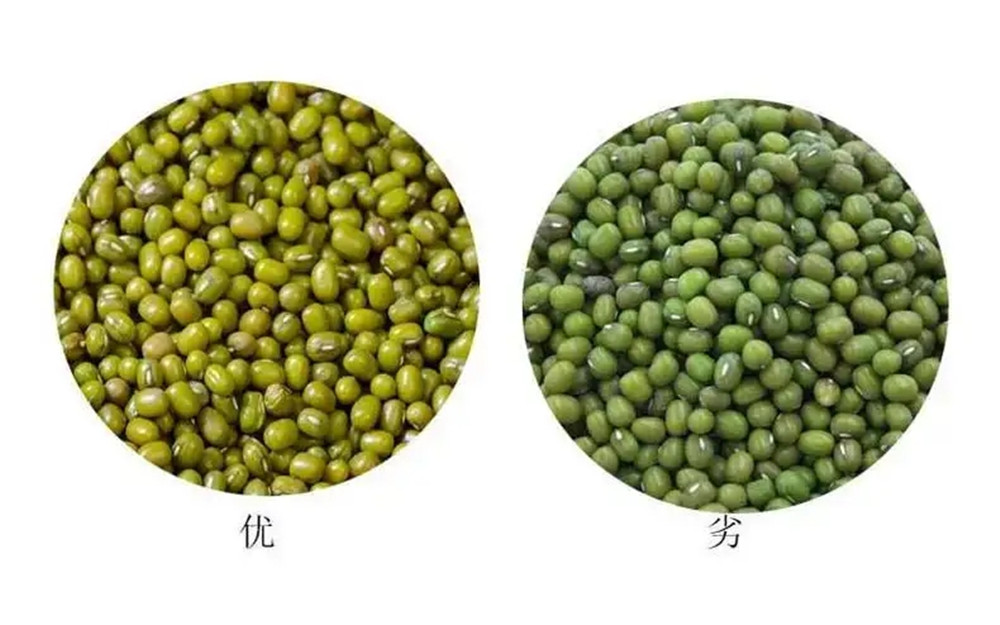 煮绿豆不让变红方法,绿豆不用泡就得煮的诀窍