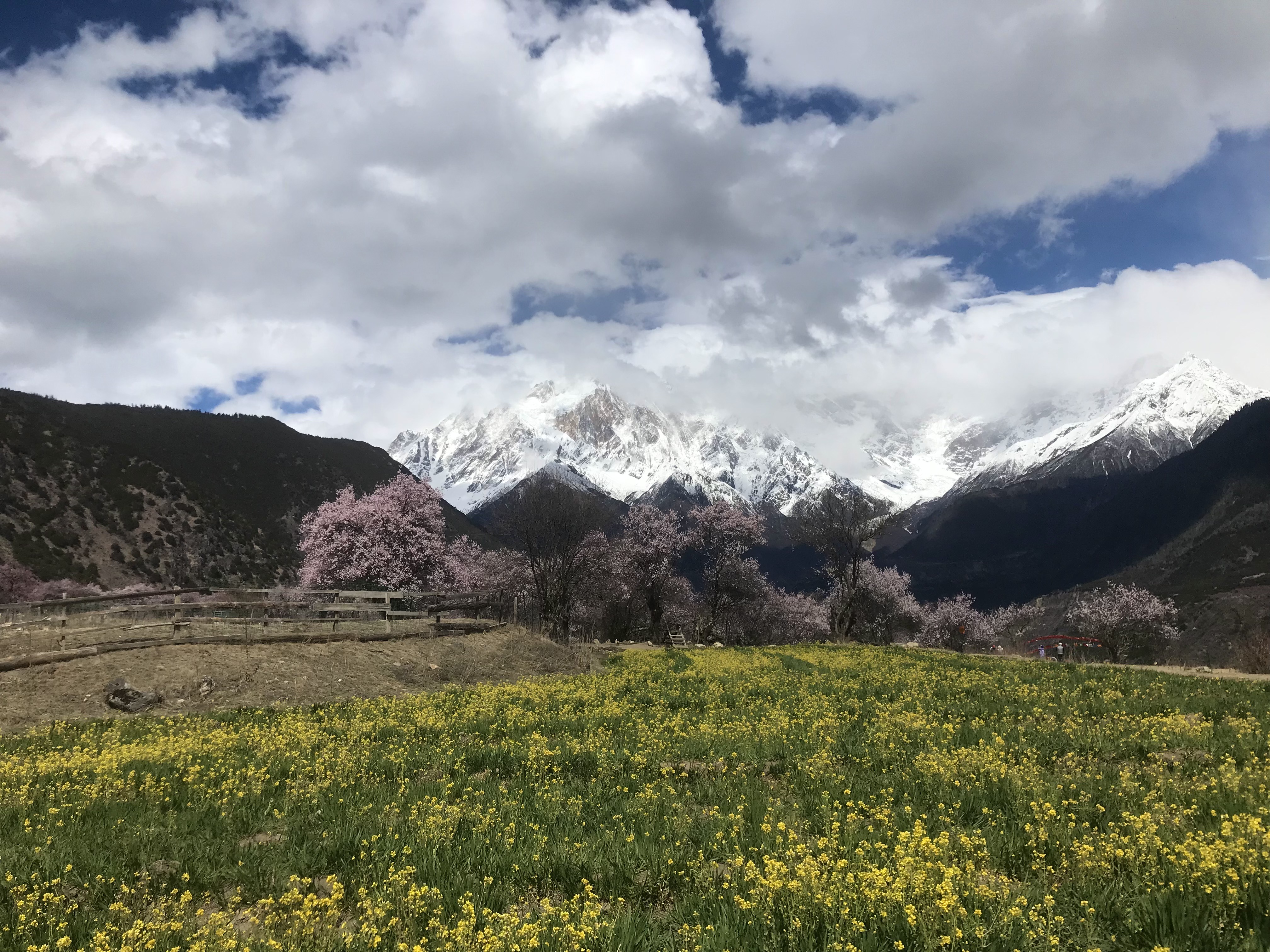西藏名山南迦巴瓦峰意义,见到南迦巴瓦