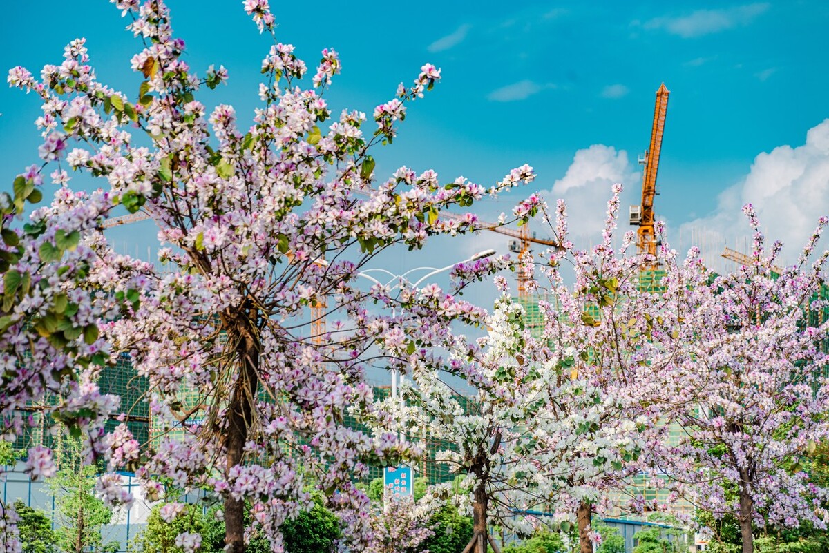 做好这18件小事，会让你感到更幸福