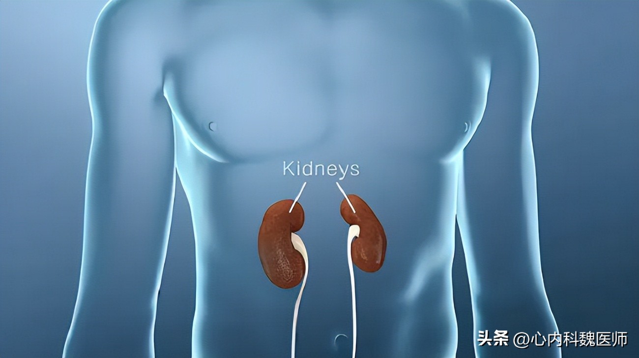 肾脏好不好检测什么就知道,肾好不好检测
