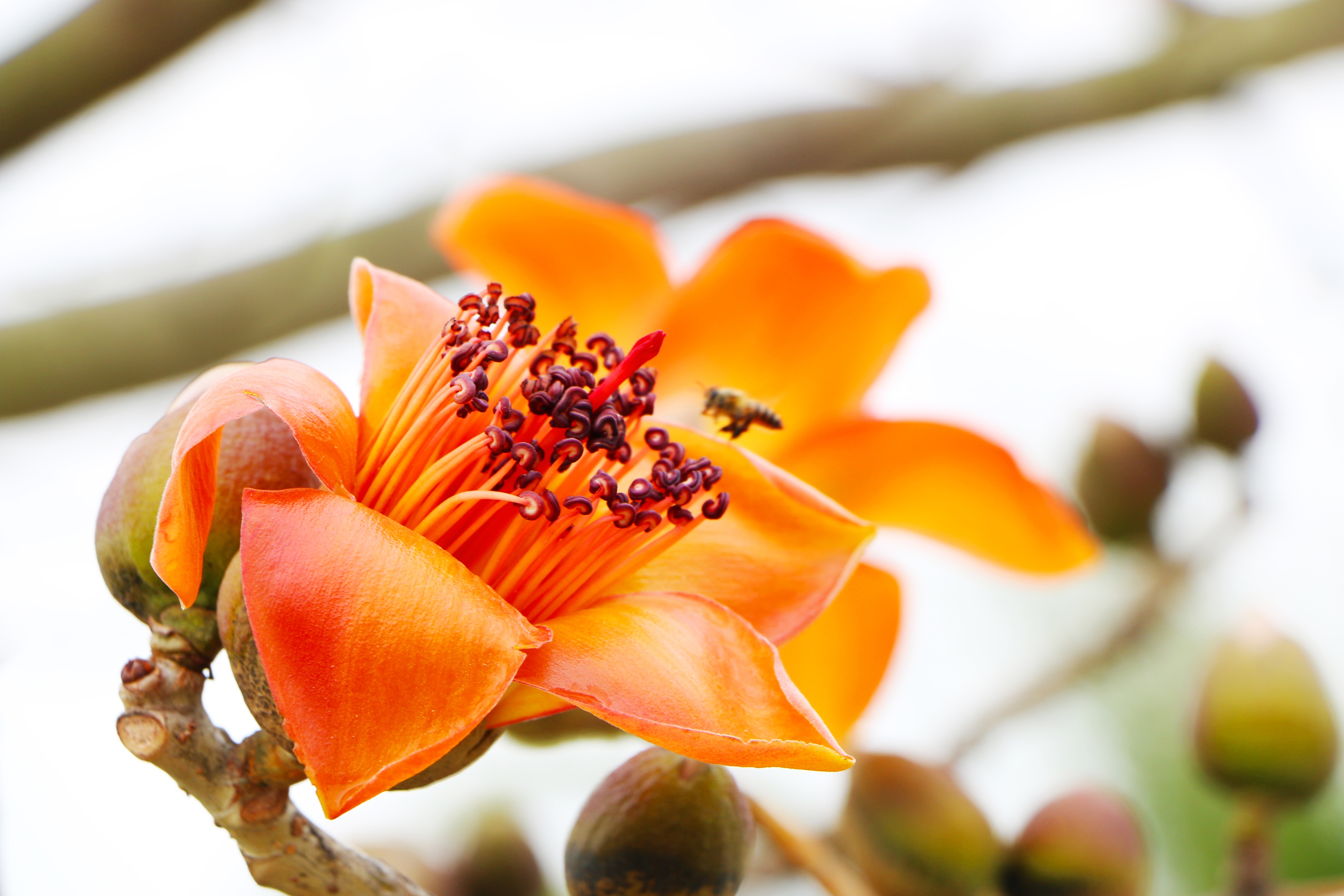 单车自驾环游中国,骑行环游中国最佳时间