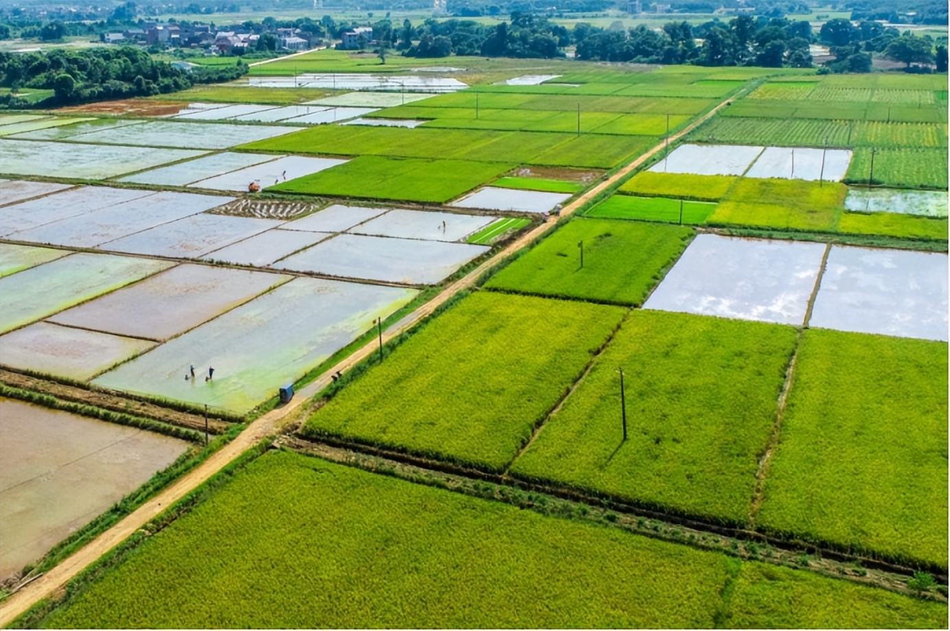 关于国家农村土地改革的新政策,目前农村土地改革政策