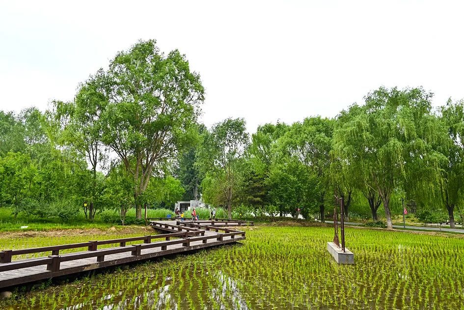 北京免费景美公园大全,北京这个公园也很美