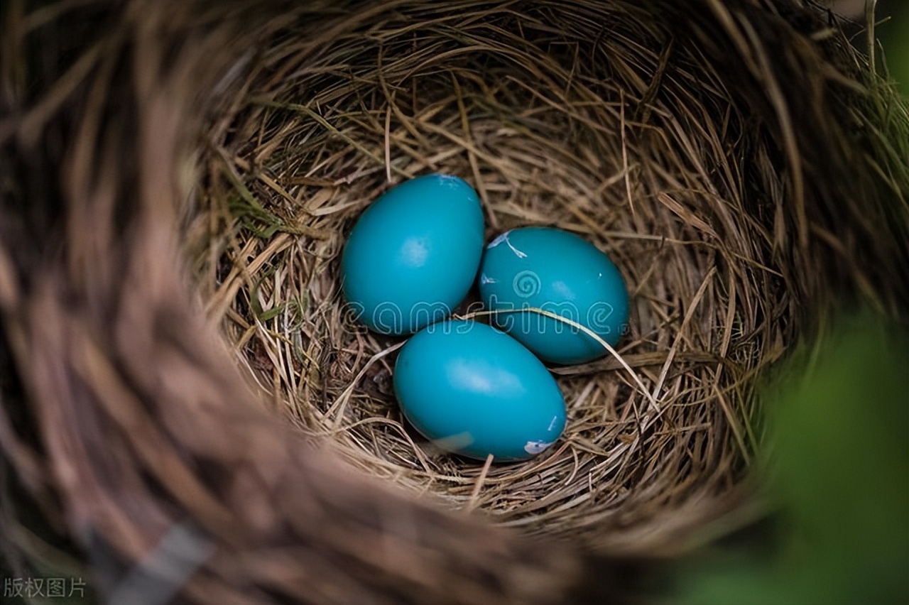 她冲我啵儿了一下，亲爱的，别紧张，就是聚聚，大家也想你