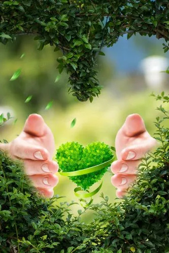 59岁父亲得癌症晚期,贲门癌出现淋巴转移生存期多少年