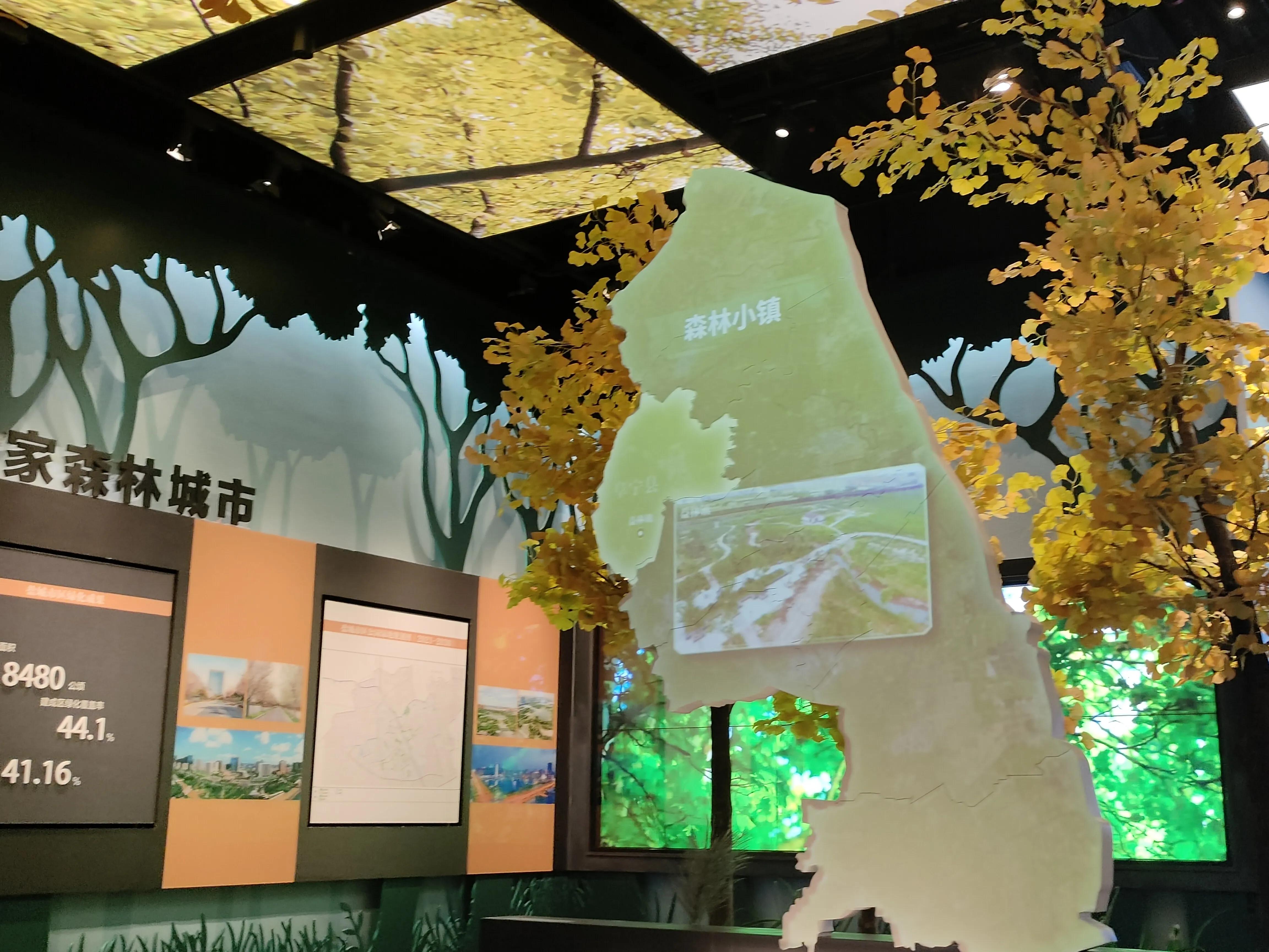 寻共存之道,寻共存之道沃自然之木什么意思