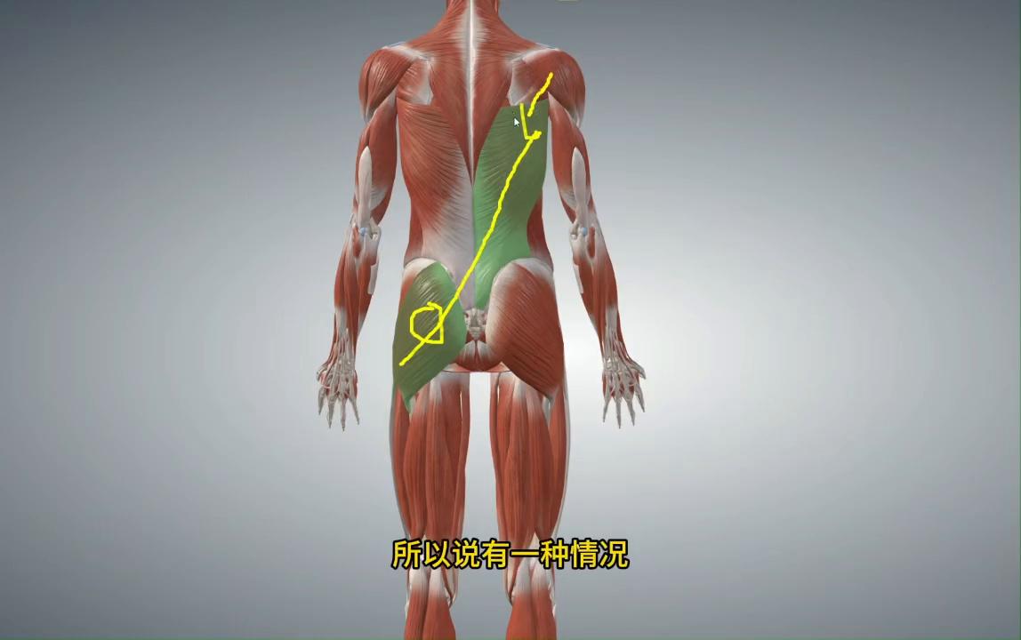 臀大肌松解法,臀大肌痛训练方法