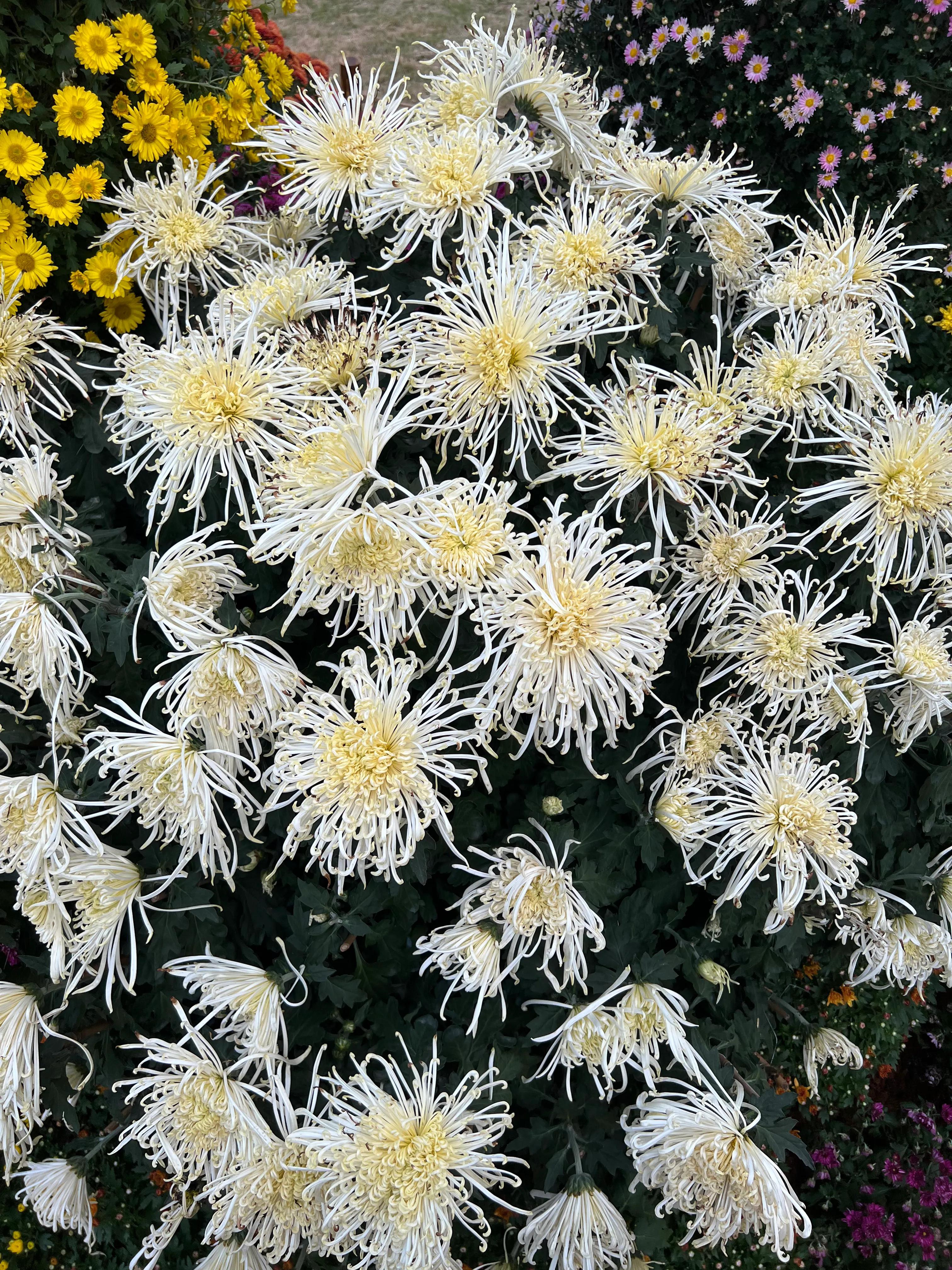 二十条负面清单,21条负面清单是哪些