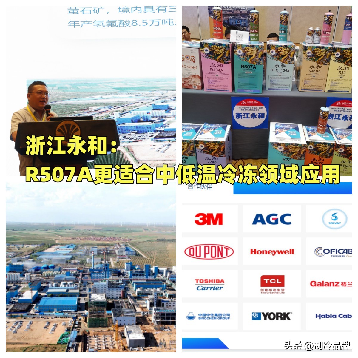 别抢了！今天的C位属于这群制冷企业