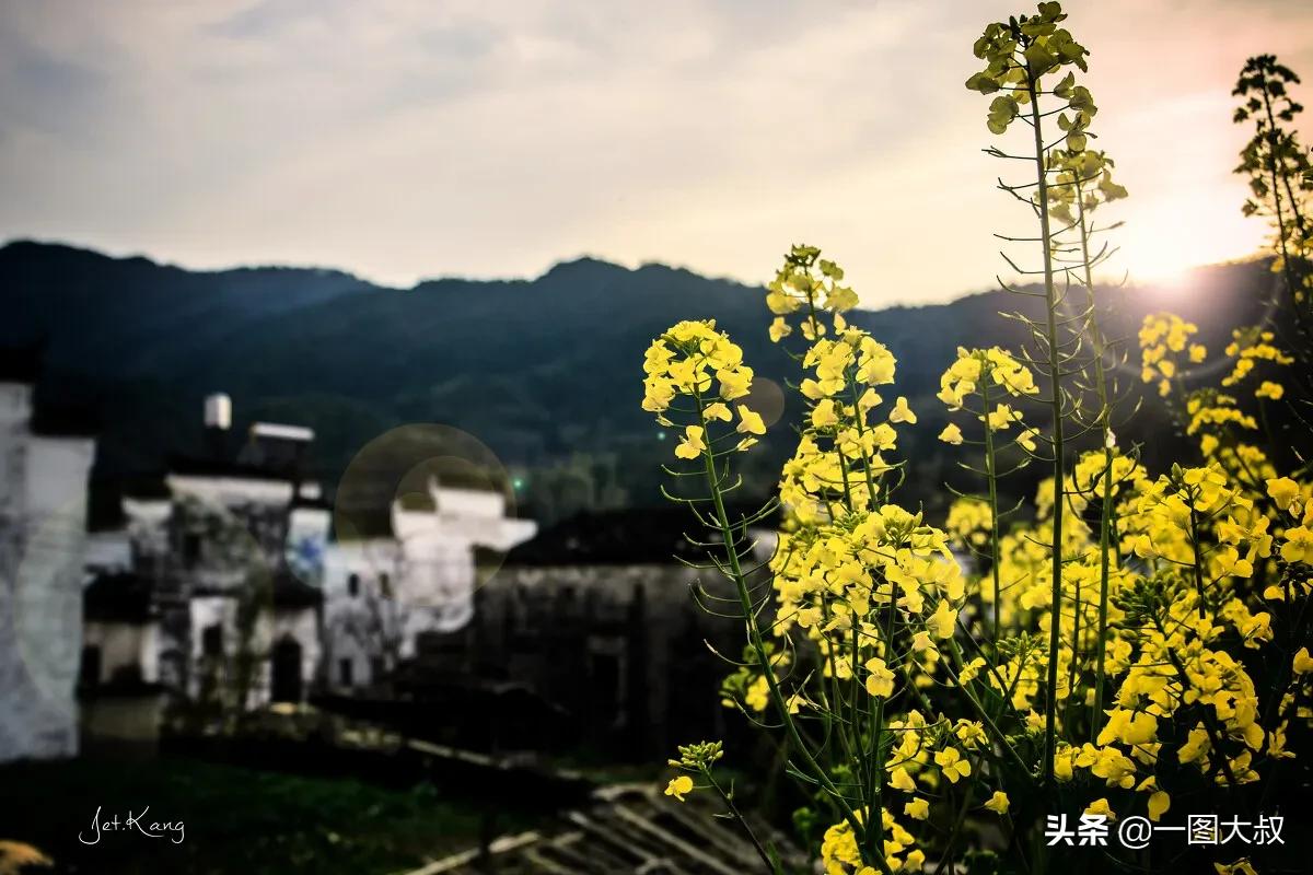 鏁ｆ枃涔℃潙鐢板洯,鏁ｆ枃涔″湡鎯呯粨