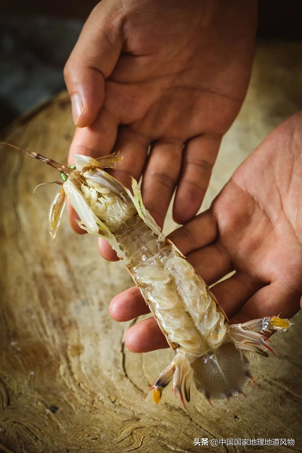 中国吃皮皮虾最好的地方,哪个地方的皮皮虾最好吃