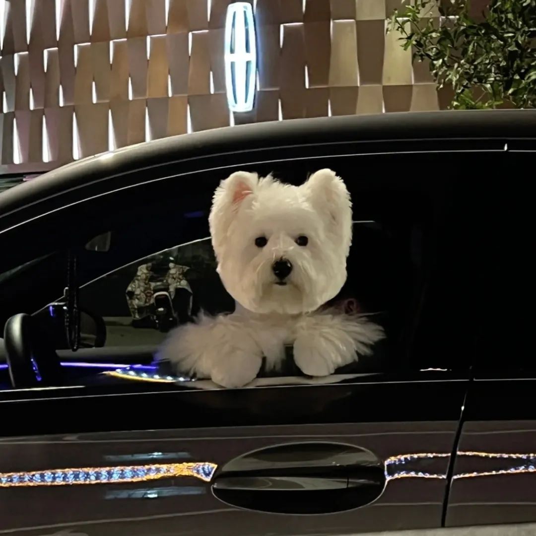 头像好看系列,头像好看的图案