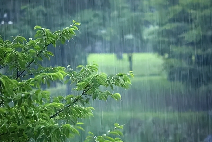 下雨天的幸福,下雨天的幸福视频