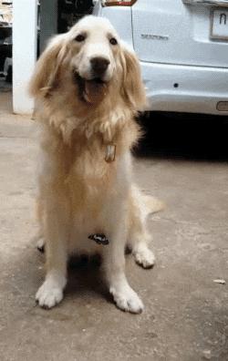 外卖小哥的搞笑事件盘点,外卖员搞笑问题