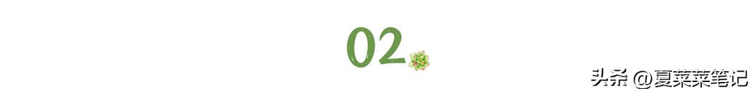 上班族可做哪些副业赚钱快,上班族做副业适合干点什么