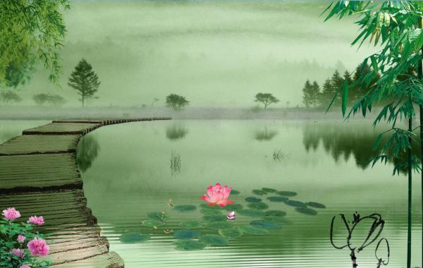 碧荷生香,竹风穿庭,三首古诗,漫阅盛夏风景,细品岁月清欢