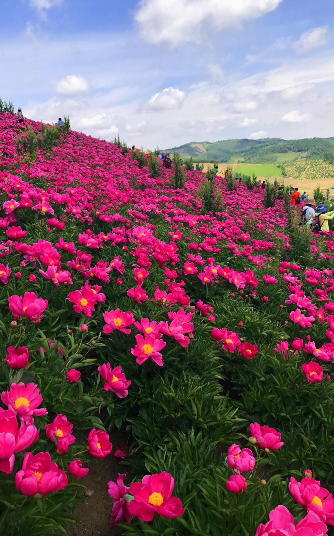 相见恨晚这首歌完整版,原汁原味古色古香的一座小城