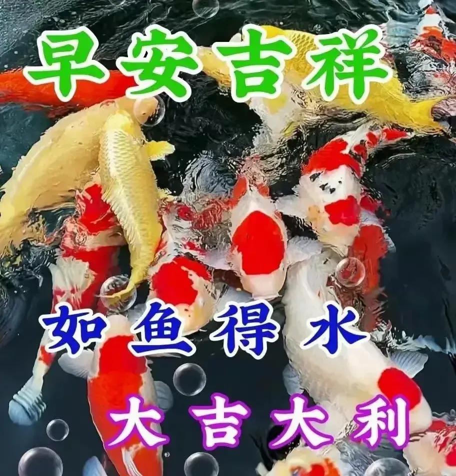 庚子日柱2023年癸卯年运势,癸卯年2023年哪个月出生最好