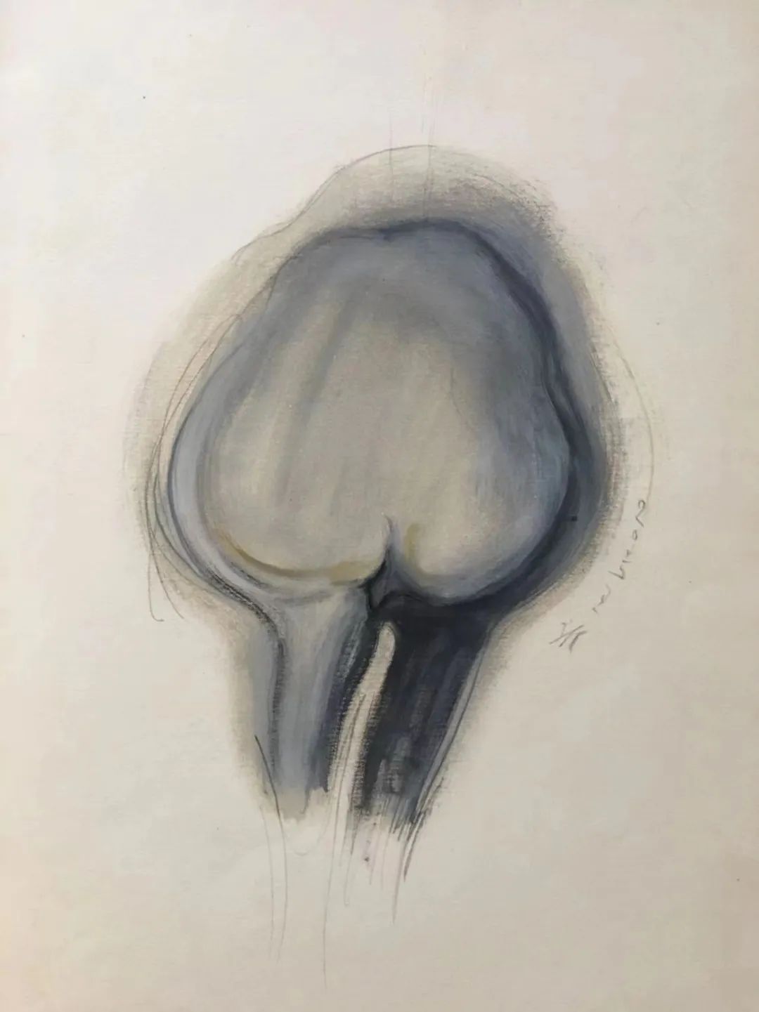 倪军|王凯是个哲学的王凯