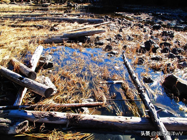 云南周边旅游景点推荐自驾游,2022云南旅游景点攻略自由行