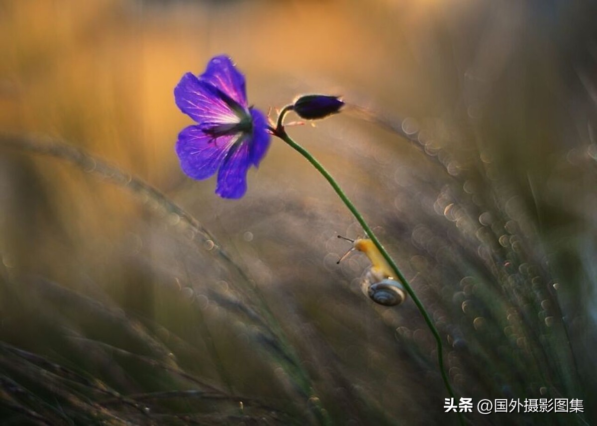 秋天最美大自然图片,春天最美的三十六张照片