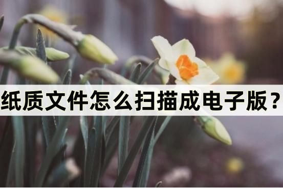 扫描全能王纸质文件扫描成电子版,手机怎么扫描纸质文件成扫描件