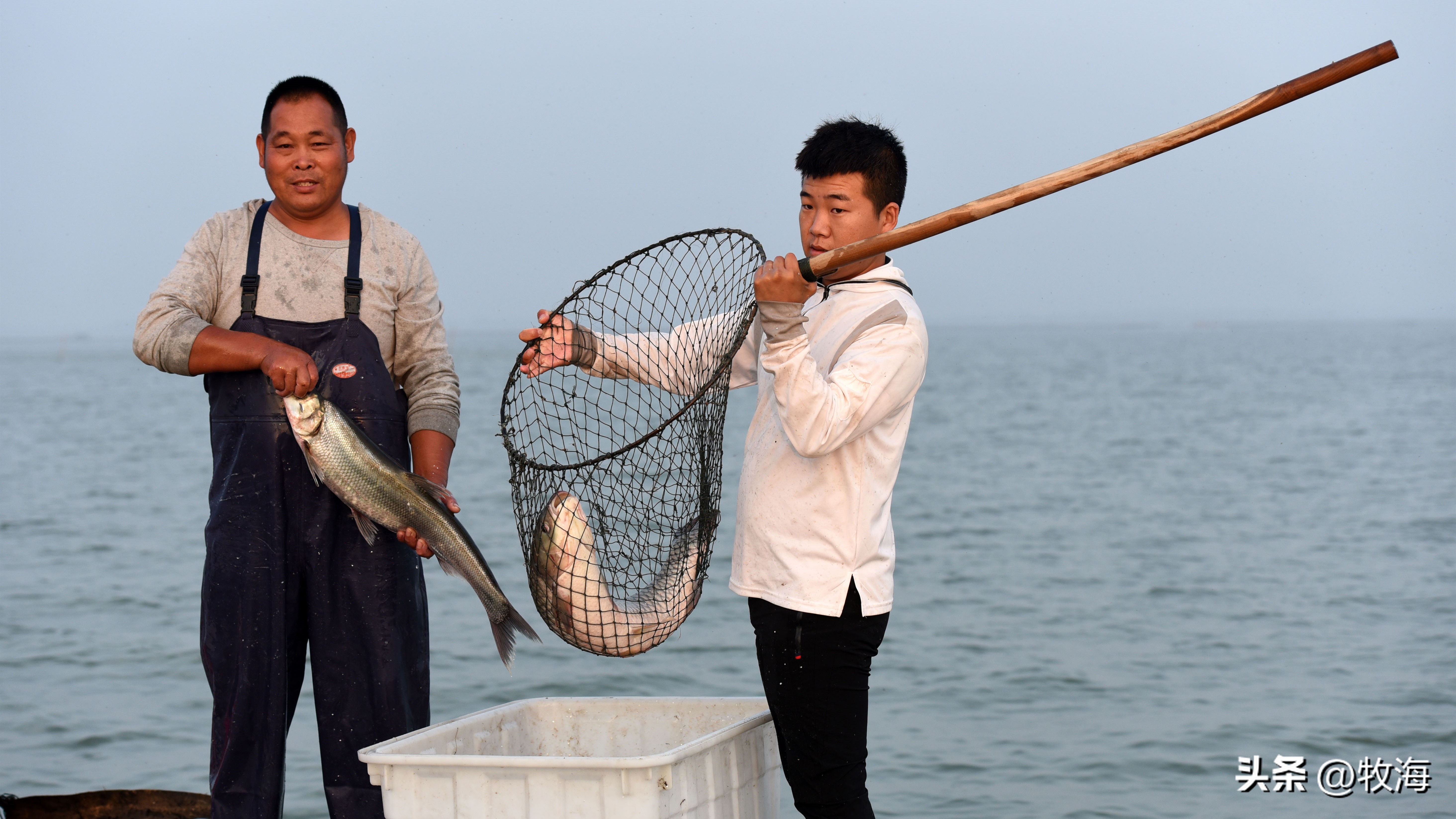 骆马湖菹草爆发原因,骆马湖采砂纪录片