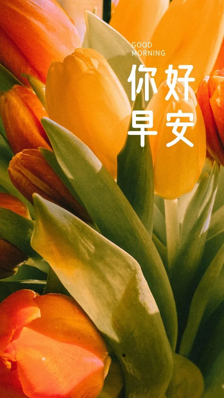 早安语录正能量朋友圈关于梦想,有梦想励志早安语句带图片