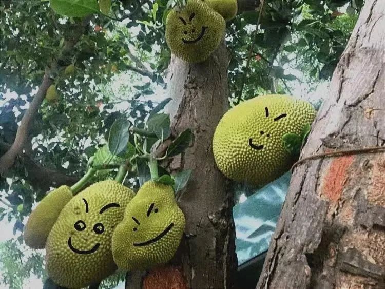 在广西，你永远不知道天上会掉下来什么