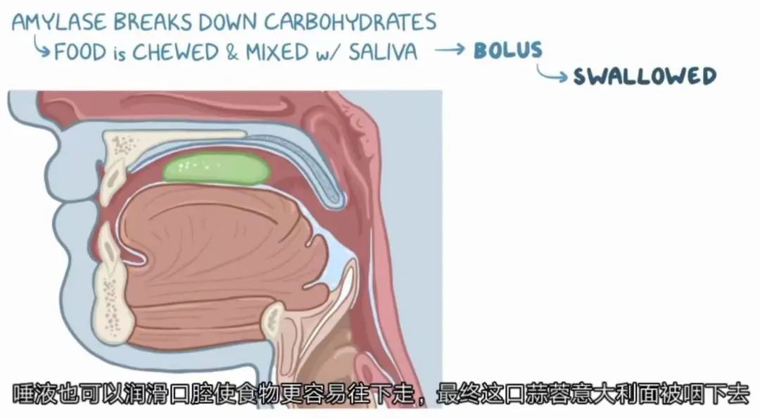 八个月的宝宝吃辅食就吐怎么回事,宝宝吃辅食吐了以后还要吃吗