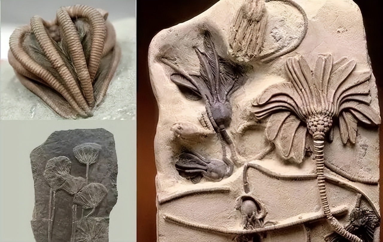 一颗来自地球的螺丝钉,发现外星人遗留的螺丝钉