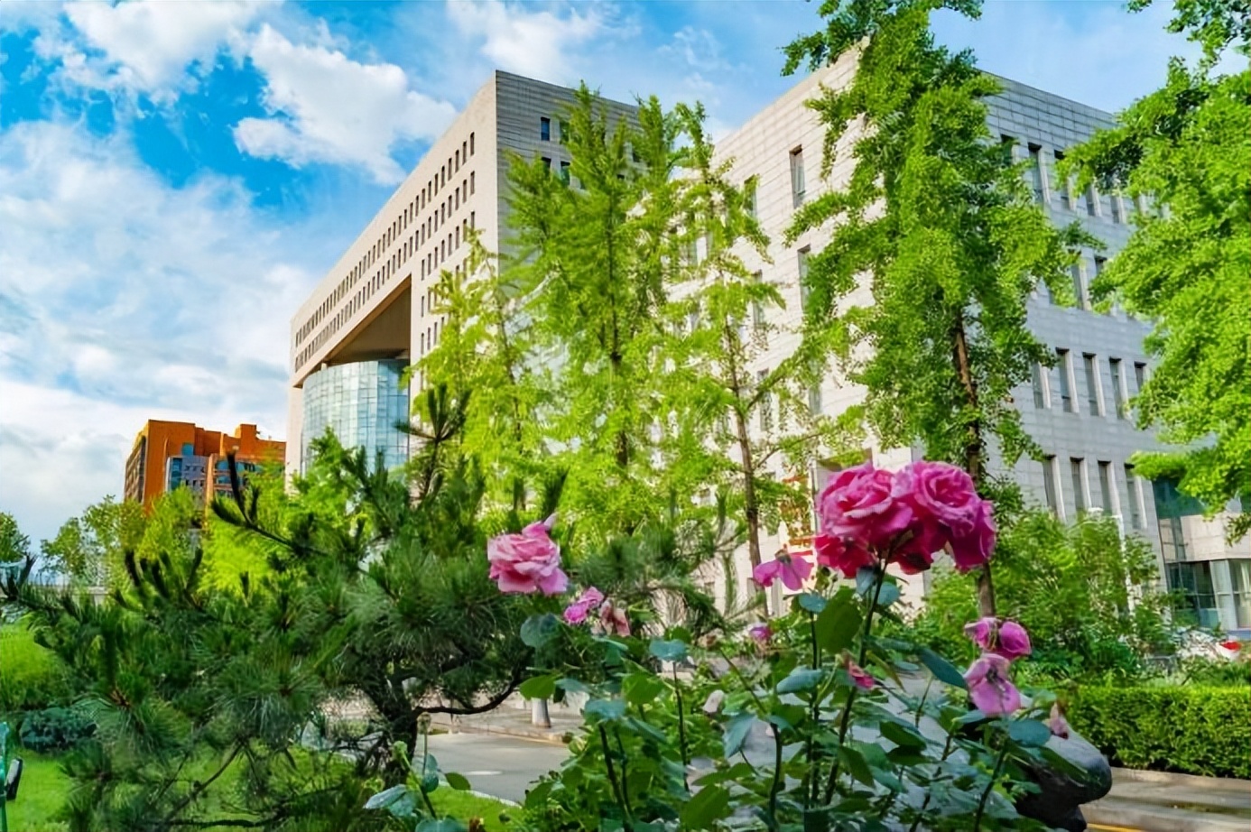 国务院发文支持!这类人才社会急需、缺口巨大,北京名校:专业一流,就业率100%