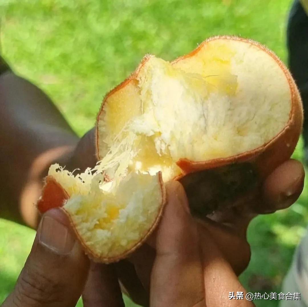 奇葩水果你见过但你肯定没吃过,奇葩水果图鉴你能认得出几种呢