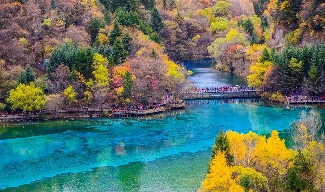 四川成都旅游导游服务,四川成都五日游自由行攻略