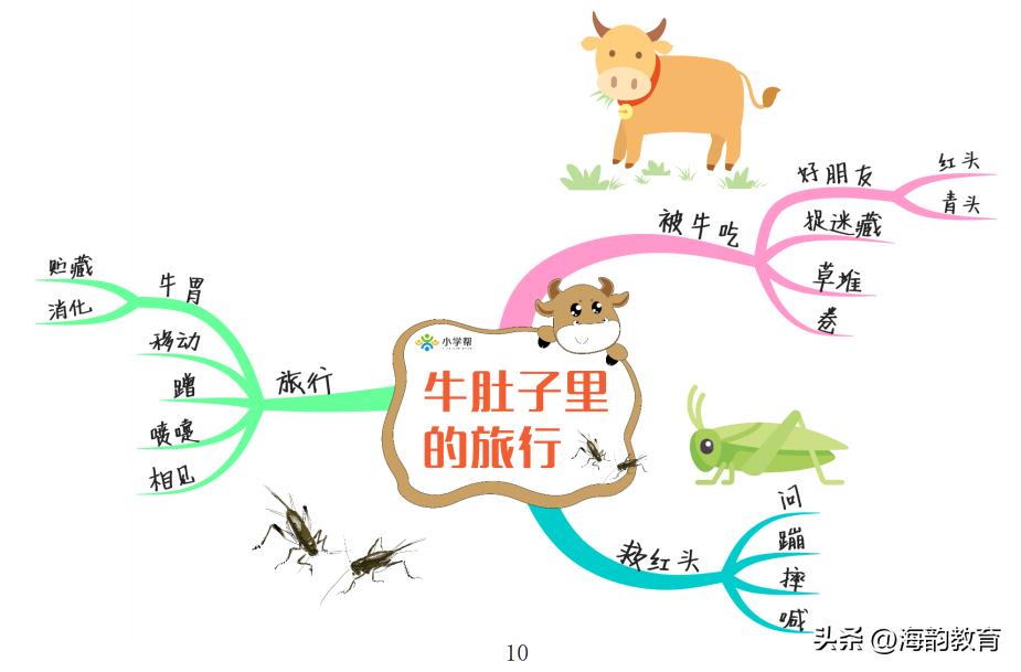 语文思维导图三年级上册青岛版,小学语文三年级上册精读课文展示