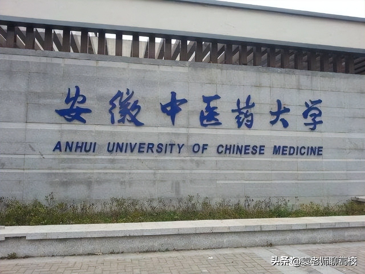 湖南中医药大学、安徽中医药大学和江西中医药大学三校谁更强？