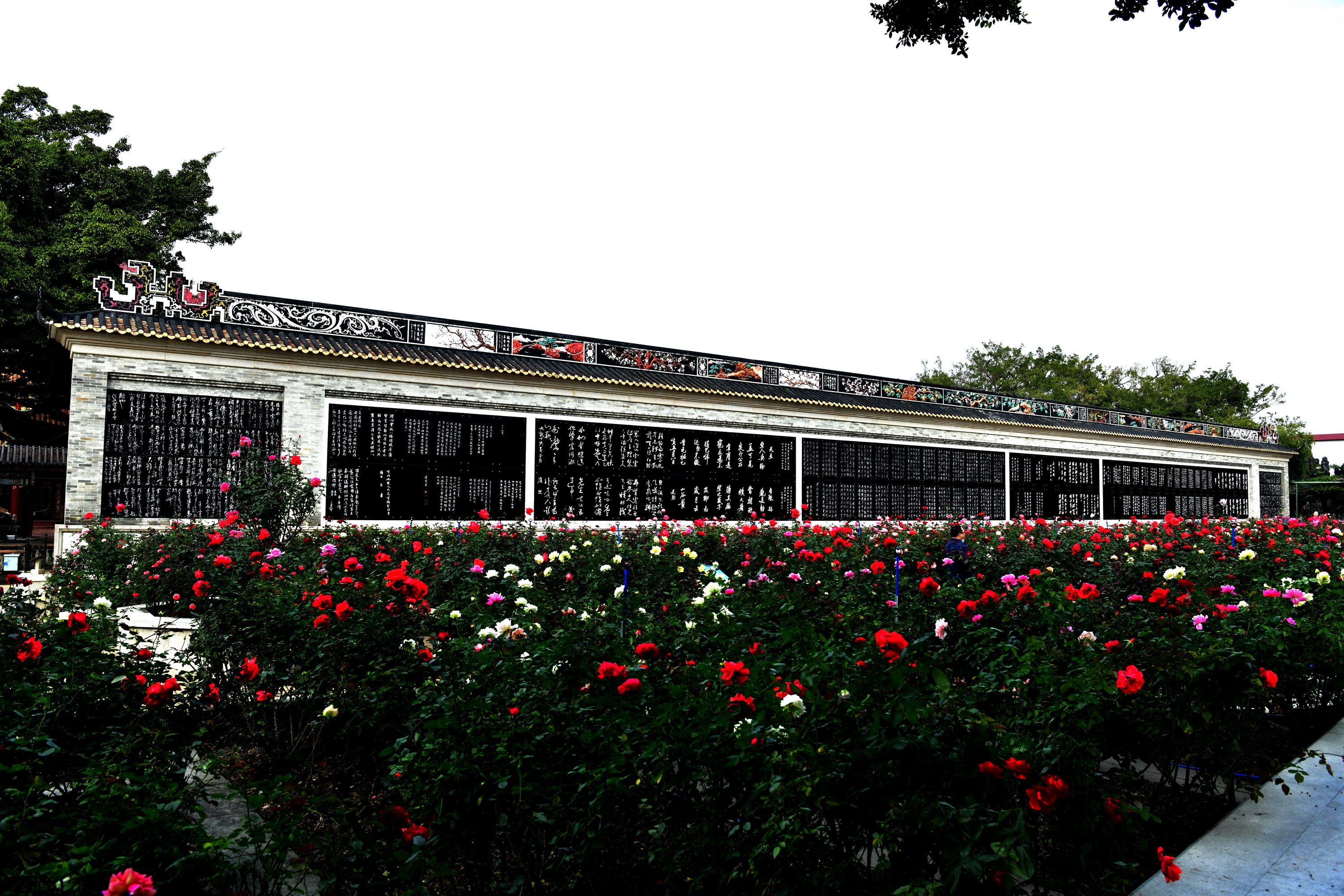 广州市番禺区宝墨园攻略,广州宝墨园景观