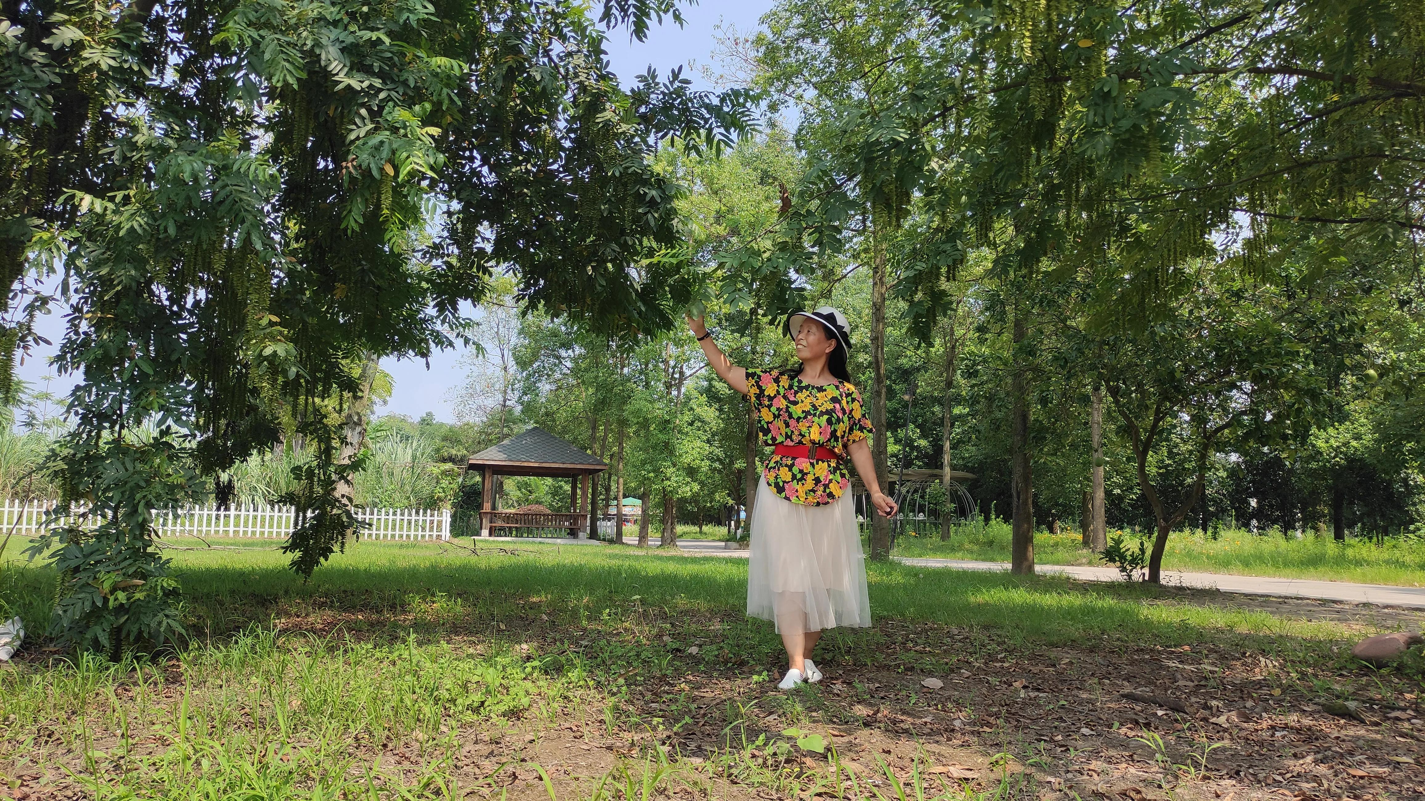 乐山金沙半岛烧烤,乐山金沙半岛图片